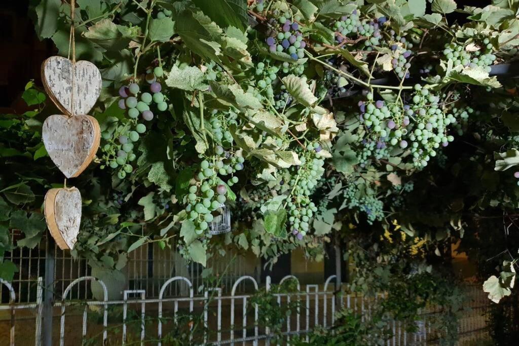Villa Lac Campione dʼItalia Dış mekan fotoğraf